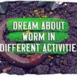 Dream About Worm in Different Activities