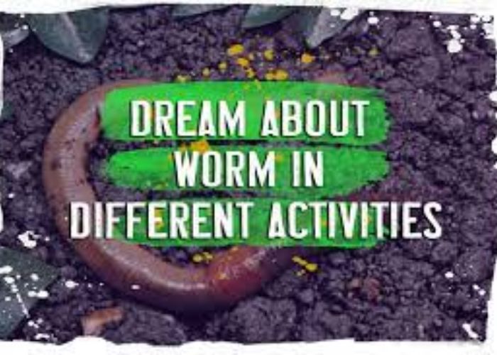 Dream About Worm in Different Activities